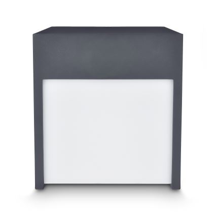 Brilagi - LED vägglampa för utomhusbruk TERNI LED/12W/230V antracit IP44