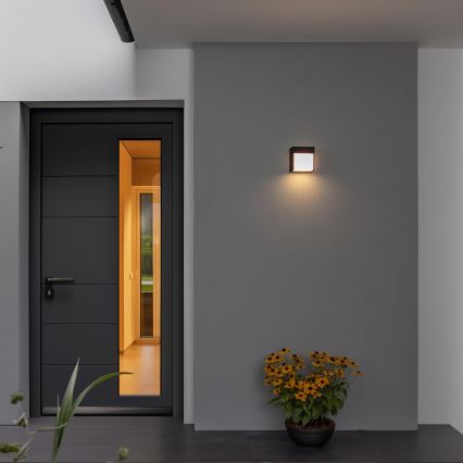 Brilagi - LED vägglampa för utomhusbruk TERNI LED/12W/230V svart IP44