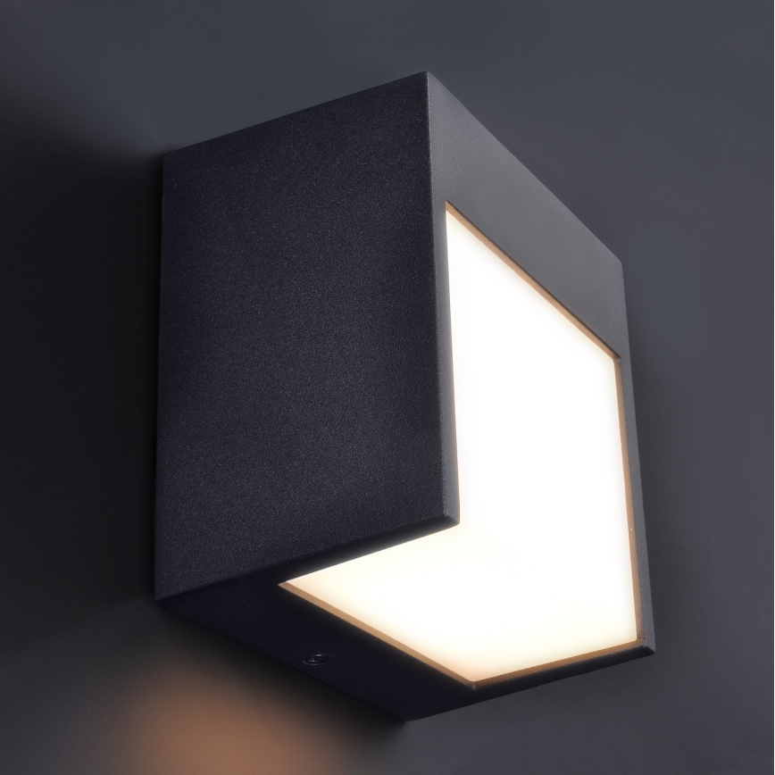 Brilagi - LED vägglampa för utomhusbruk TERNI LED/12W/230V svart IP44