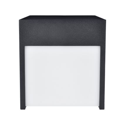 Brilagi - LED vägglampa för utomhusbruk TERNI LED/12W/230V svart IP44