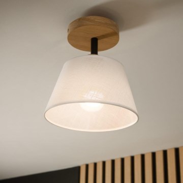 Brilagi - LED  Ytmonterad ljuskrona ANTHONY 1xE14/60W/230V ek/vit