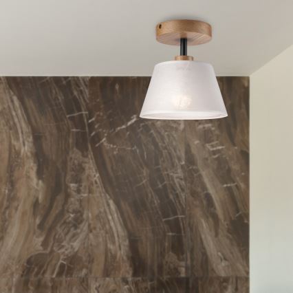 Brilagi - LED  Ytmonterad ljuskrona ANTHONY 1xE14/60W/230V ek/vit