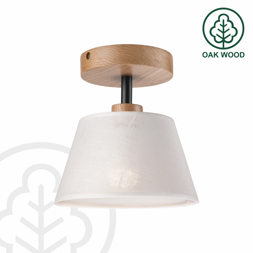 Brilagi - LED  Ytmonterad ljuskrona ANTHONY 1xE14/60W/230V ek/vit