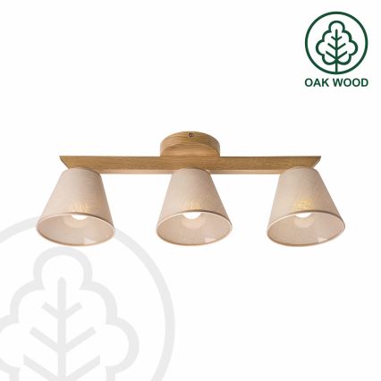 Brilagi - LED  Ytmonterad ljuskrona ANTHONY 3xE14/40W/230V ek/beige
