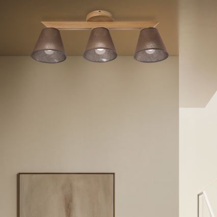 Brilagi - LED  Ytmonterad ljuskrona ANTHONY 3xE14/40W/230V ek/brun