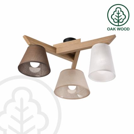 Brilagi - LED  Ytmonterad ljuskrona ANTHONY 3xE14/40W/230V ek