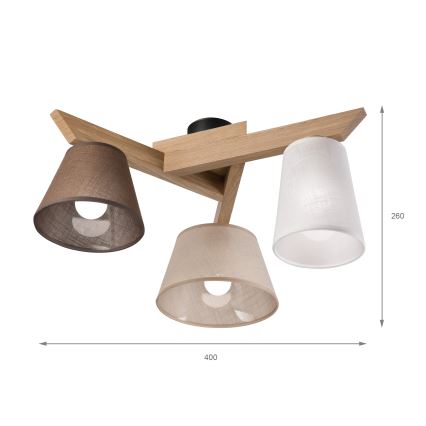 Brilagi - LED  Ytmonterad ljuskrona ANTHONY 3xE14/40W/230V ek