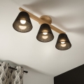 Brilagi - LED  Ytmonterad ljuskrona ANTHONY 3xE14/40W/230V ek/svart