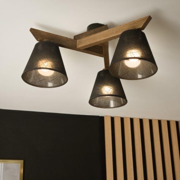 Brilagi - LED  Ytmonterad ljuskrona ANTHONY 3xE14/40W/230V ek/svart