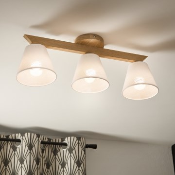 Brilagi - LED  Ytmonterad ljuskrona ANTHONY 3xE14/40W/230V ek/vit
