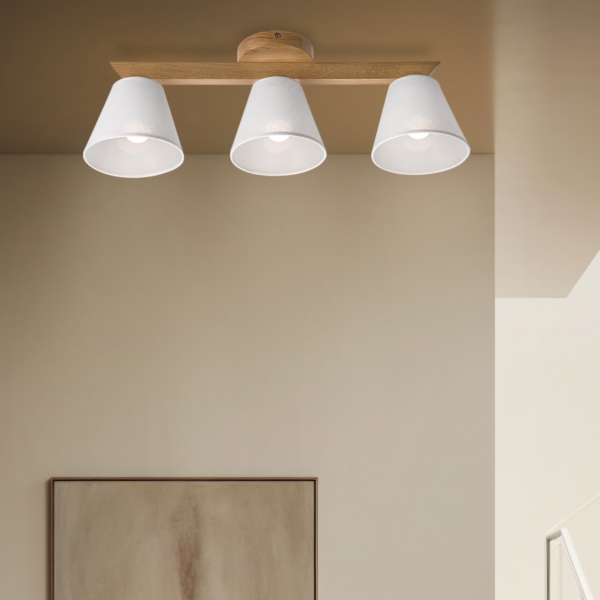 Brilagi - LED  Ytmonterad ljuskrona ANTHONY 3xE14/40W/230V ek/vit