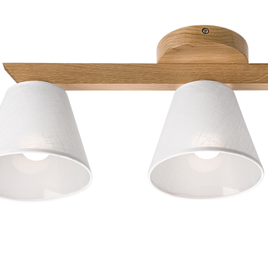 Brilagi - LED  Ytmonterad ljuskrona ANTHONY 3xE14/40W/230V ek/vit