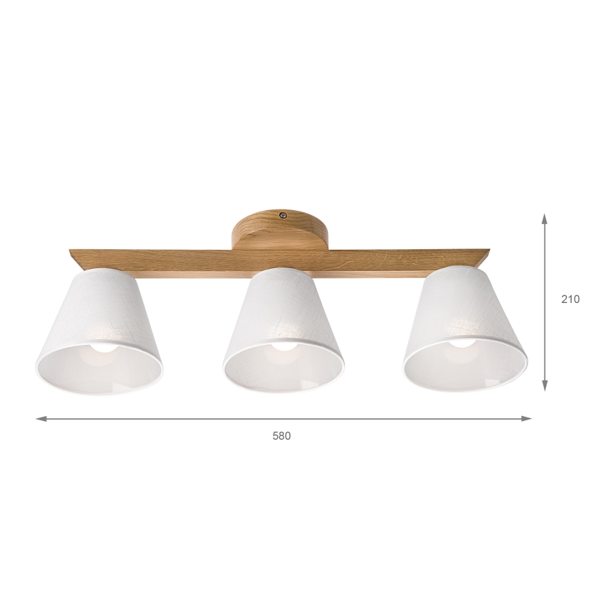 Brilagi - LED  Ytmonterad ljuskrona ANTHONY 3xE14/40W/230V ek/vit