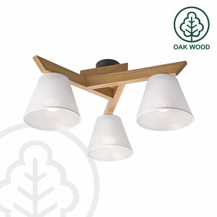 Brilagi - LED  Ytmonterad ljuskrona ANTHONY 3xE14/40W/230V ek/vit