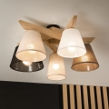 Brilagi - LED  Ytmonterad ljuskrona ANTHONY 5xE14/40W/230V ek