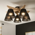 Brilagi - LED  Ytmonterad ljuskrona ANTHONY 5xE14/40W/230V ek/svart