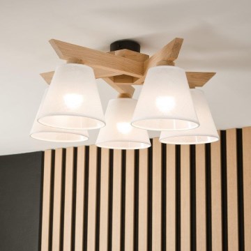 Brilagi - LED  Ytmonterad ljuskrona ANTHONY 5xE14/40W/230V ek/vit