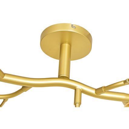 Brilagi - LED ytmonterad ljuskrona MISTEL 15xG9/3W/230V guld/vit