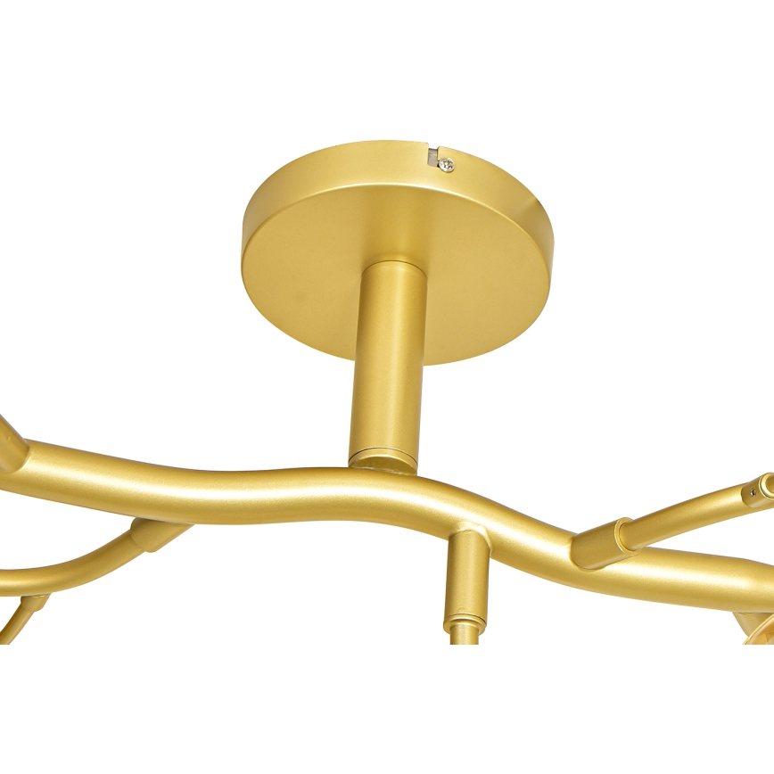 Brilagi - LED ytmonterad ljuskrona MISTEL 15xG9/3W/230V guld/vit