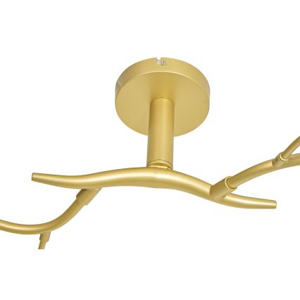 Brilagi - LED ytmonterad ljuskrona MISTEL 6xG9/3W/230V guld