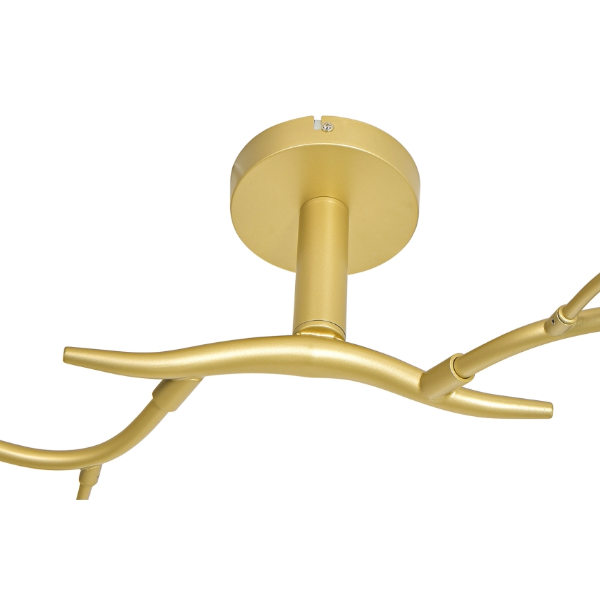 Brilagi - LED ytmonterad ljuskrona MISTEL 6xG9/3W/230V guld