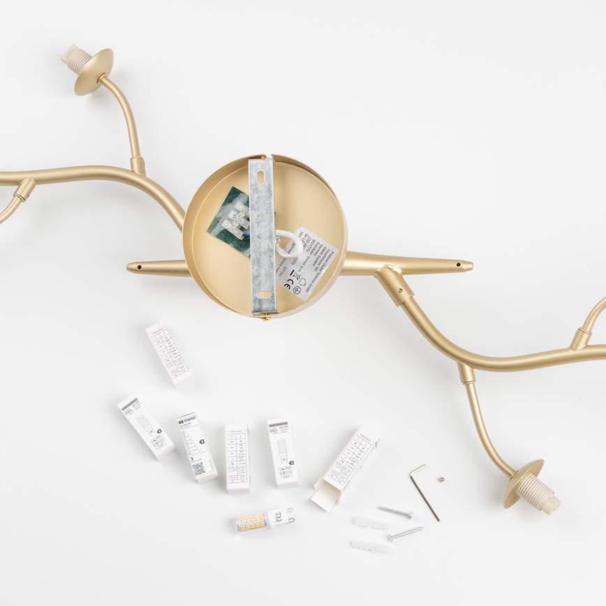 Brilagi - LED ytmonterad ljuskrona MISTEL 6xG9/3W/230V guld