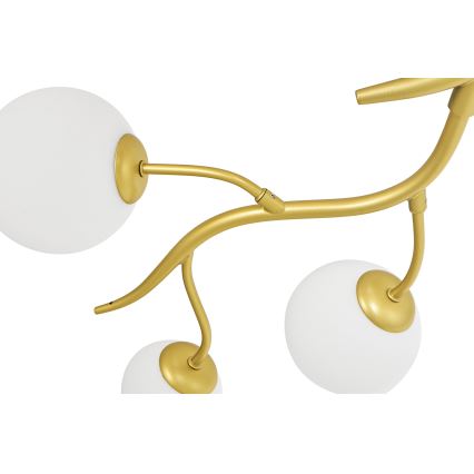 Brilagi - LED ytmonterad ljuskrona MISTEL 6xG9/3W/230V guld/vit