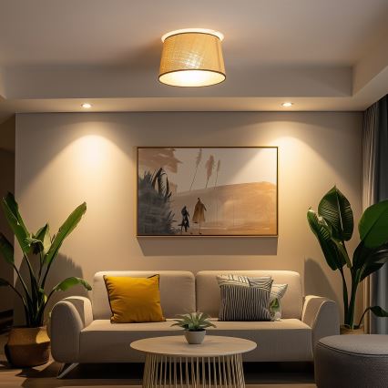 Brilagi - LED ytmonterad taklampa CERIA 1x E27/40W/230V Ø 35 cm beige