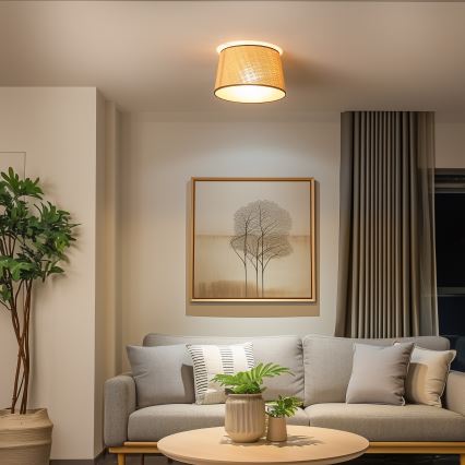 Brilagi - LED ytmonterad taklampa CERIA 1x E27/40W/230V Ø 35 cm beige