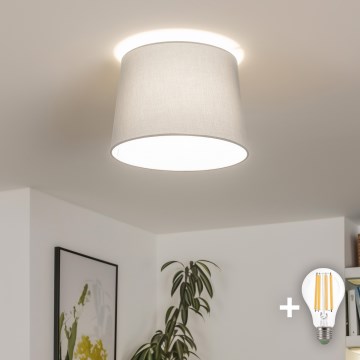 Brilagi - LED ytmonterad taklampa CERIA 1xE27/40W/230V Ø 30 cm grå