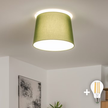 Brilagi - LED-ytmonterad taklampa CERIA 1xE27/40W/230V Ø 30 cm grön