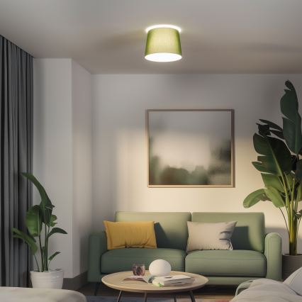 Brilagi - LED-ytmonterad taklampa CERIA 1xE27/40W/230V Ø 30 cm grön