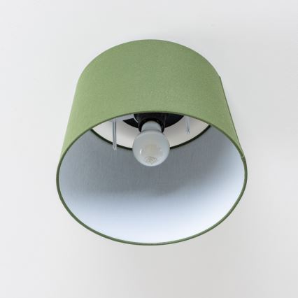 Brilagi - LED-ytmonterad taklampa CERIA 1xE27/40W/230V Ø 30 cm grön