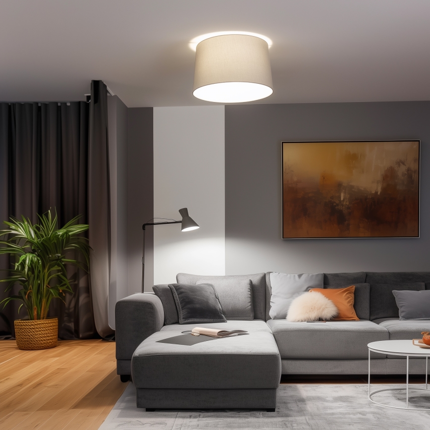 Brilagi - LED-ytmonterad taklampa CERIA 1xE27/40W/230V Ø 45 cm grå