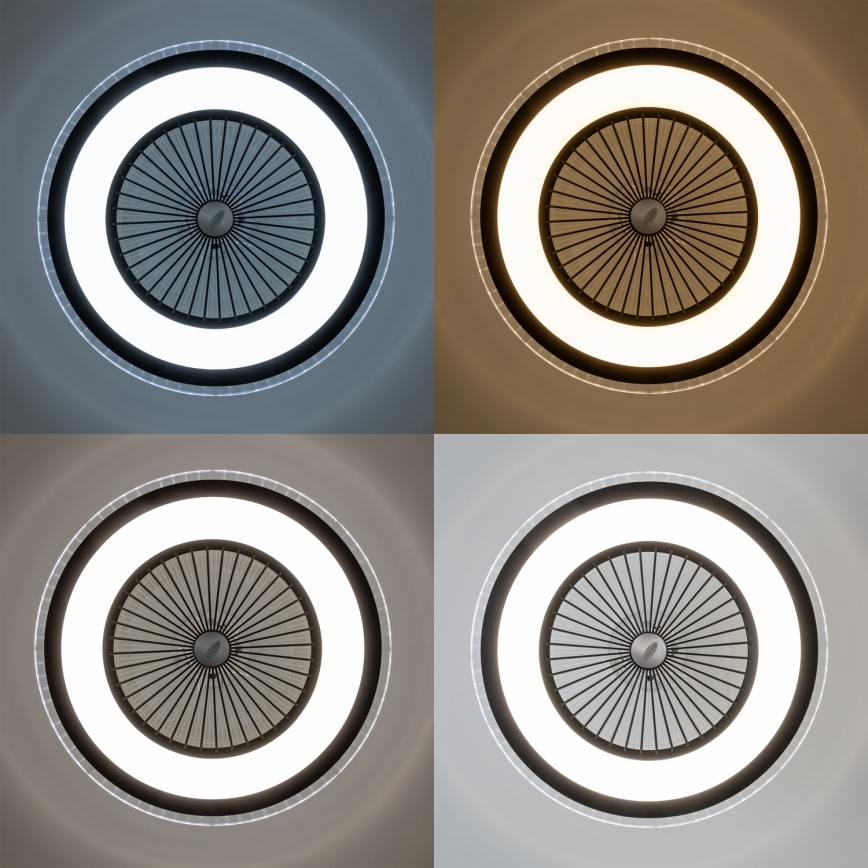 Brilagi - LED dimbar taklampa med fläkt RONDA LED/48W/230V 3000-6000K svart + fjärrkontroll