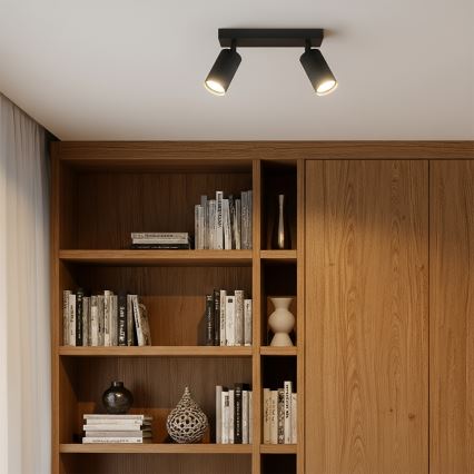 Brilagi - SELE MODERN riktbar spotlampa 2xGU10/30W/230V svart