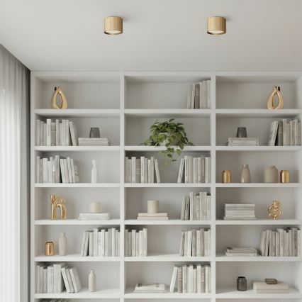 Brilagi - Spotbelysning STRIPY 1xGX53/15W/230V guld