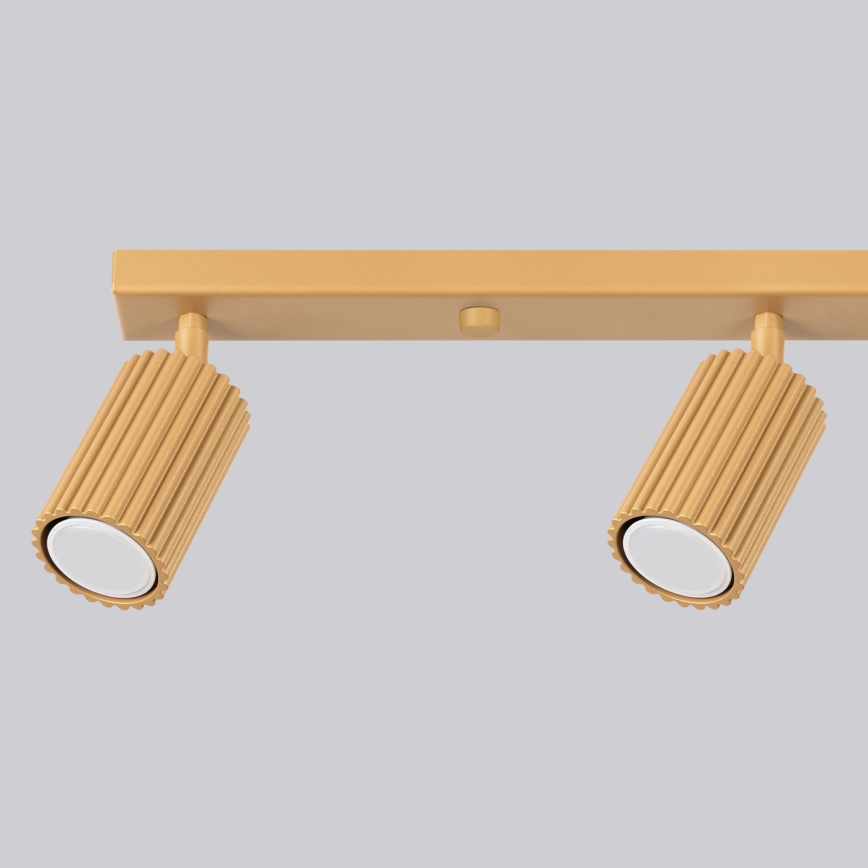 Brilagi - Spotlight CRESTO 4xGU10/10W/230V guld