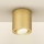 Brilagi - Spotlight MIA 1xGU10/30W/230V 84x80 mm guld