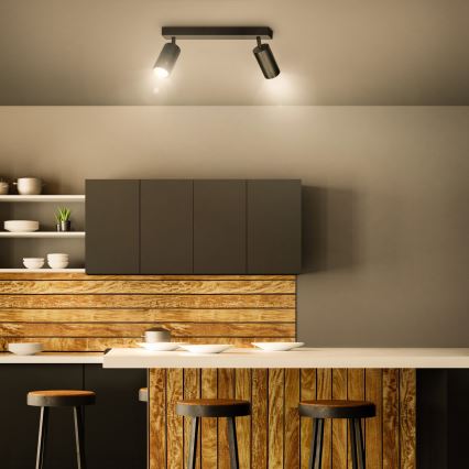 Brilagi - Spotlight SELE 2xGU10/30W/230V svart/guld