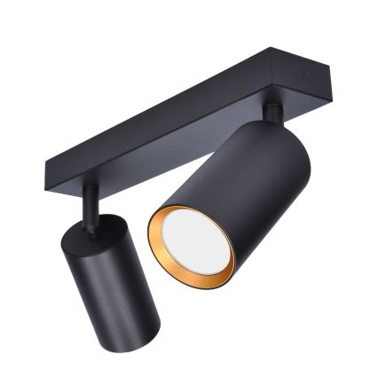 Brilagi - Spotlight SELE 2xGU10/30W/230V svart/guld