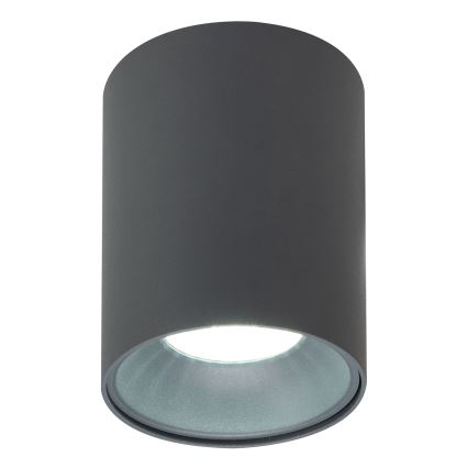Brilagi - Spotlight TRINE 1xGU10/30W/230V antracit