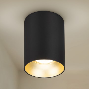 Brilagi - Spotlight TRINE 1xGU10/30W/230V svart/guld
