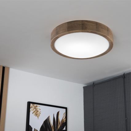 Brilagi - Taklampa CARVALHO SLIM 1xE27/60W/230V ek diameter 27 cm