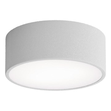 Brilagi - Taklampa med sensor CLARE 1xE27/24W/230V diameter 20 cm grå