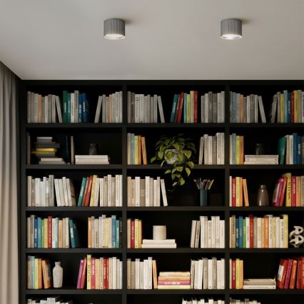 Brilagi - Takspot STRIPY 1xGX53/15W/230V silver