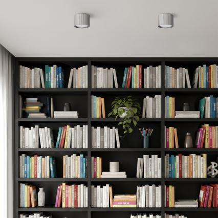 Brilagi - Takspot STRIPY 1xGX53/15W/230V silver