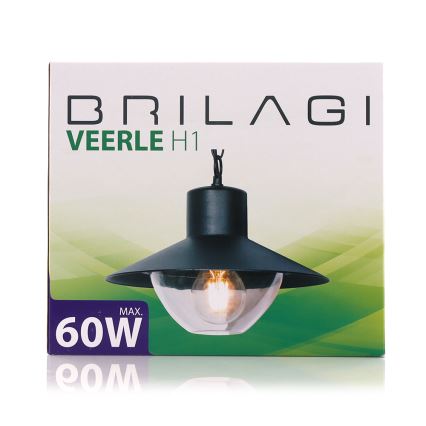 Brilagi -  Utomhus Hängande lampa VEERLE 1xE27/60W/230V IP44