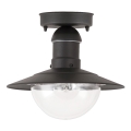 Brilagi - Utomhustaklampa MOLDE 1xE27/60W IP44 svart