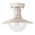 Brilagi - Utomhustaklampa MOLDE 1xE27/60W IP44 vit/patina
